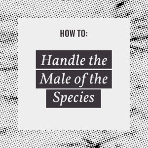 Interactive Fiction - How to: Handle a Male of the Species